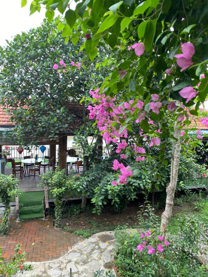 Trang An Bai Dinh Linh Homestay נין בין מראה חיצוני תמונה